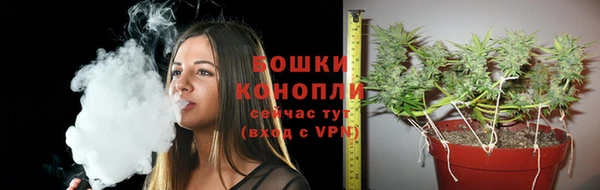 соль ск Арсеньев