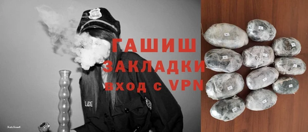 стаф Алзамай
