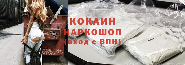 стаф Алзамай