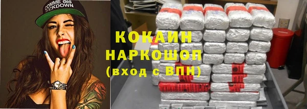соль ск Арсеньев