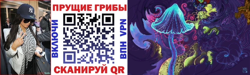 mega ONION  Дудинка  Галлюциногенные грибы Cubensis 